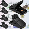 pack of 3 Mouse Catcher