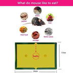 Mouse & Rat Lure Glue Traps